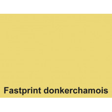 Kopieerpapier Fastprint A4 160gr Donkerchamois