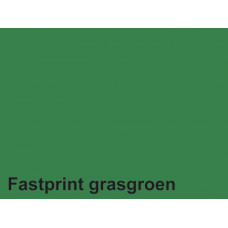 Kopieerpapier Fastprint A4 120gr Grasgroen